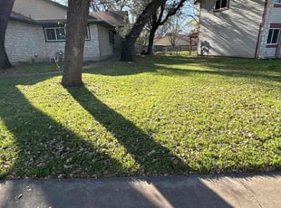 Linna O.'s Yard Cutting service result