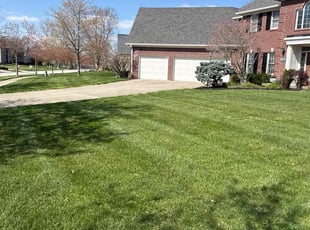 Wendy C.'s Lawn Mowing service result
