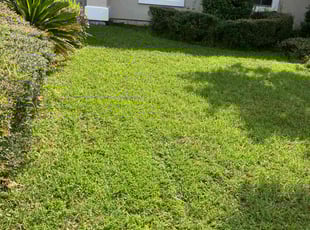 Sarah M.'s Lawn Care service result