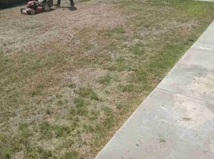 Joselito T.'s Lawn Mowing service result