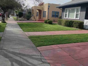 Jacklynn F.'s Yard Cutting service result
