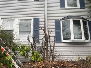 Bush Trimming by David Cardillo for Reynaldo S. in Pawtucket, RI