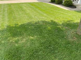 Earl C.'s Lawn Mowing service result