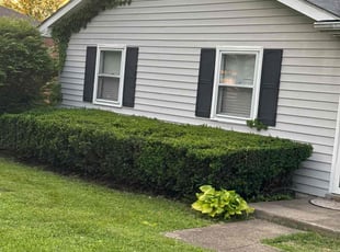 Bush Trimming by Sam Clark for Bethany C. in Louisville, KY