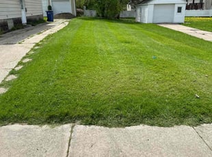 Mark S.'s Yard Cutting service result