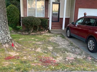 Kevin H.'s Bush Trimming service result