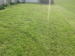 Melanie K.'s Lawn Care service result