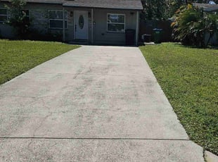 Stacia S.'s Lawn Care service result