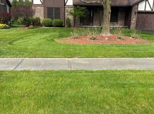 Michael M.'s Lawn Service service result