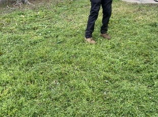Cleanups by Eugenio Perez for Vivia A. in Aurora, CO