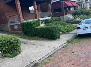 Bush Trimming by Bradley Taylor for Jeanne A. in Pittsburgh, PA