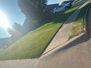 Diane H.'s Lawn Service service result