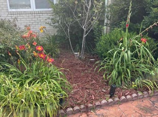 Weeding by Bryan Oren for Kurt P. in Virginia Beach, VA