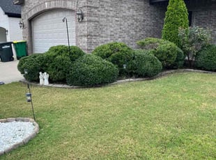 Bush Trimming by Lisbeth Torres for Rhonda K. in Jacksonville, AR