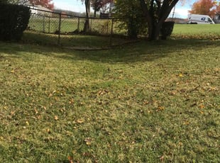 Cleanups by Thomas Reid for B D. in Wright-Patterson Air Force Bas, OH