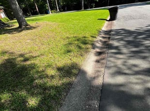 Cleanups by DJ Walker for Michael C. in Virginia Beach, VA