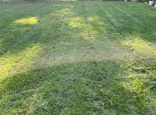 Jason P.'s Lawn Mowing Service service result