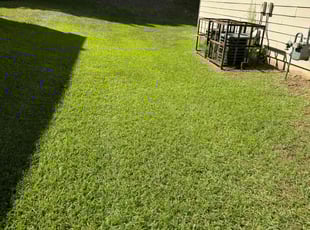 Ryann R.'s Lawn Mowing service result