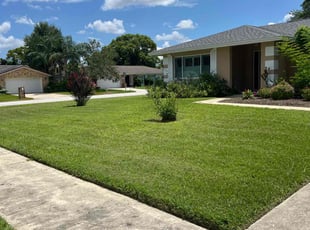 Matt C.'s Grass Cutting service result
