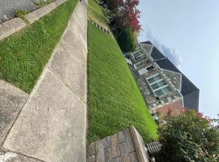 Christina W.'s Lawn Mowing service result