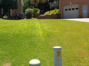 Sequoah R.'s Lawn Care service result