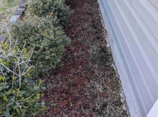 Weeding by Ben Thebault for Robert J. in White House, TN