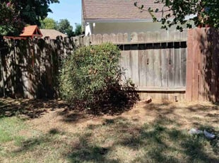 Bush Trimming by Jason Vizenor for Ms. H. in Elk Grove, CA