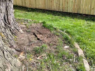 Leaf Removal by Joseph Schmidt for Marilyn L. in Milwaukee, WI