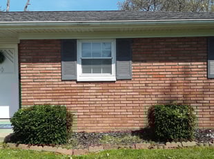Bush Trimming by David Rodriguez for Dorthea M. in Belleville, IL