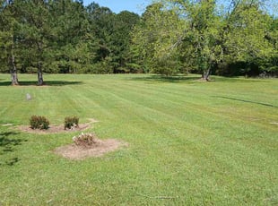 Josh M.'s Grass Cutting service result