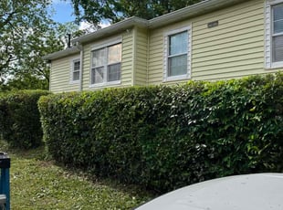 Bush Trimming by Nathaniel Stanley for ANAIA J. in Atlanta, GA