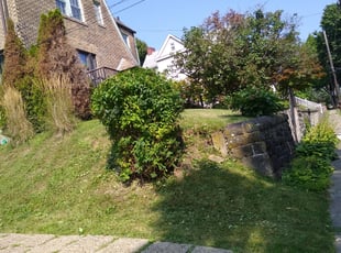 Bush Trimming by Bob Gilbert for Jackie W. in Pittsburgh, PA