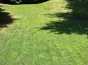 Wachira R.'s Lawn Mowing Service service result