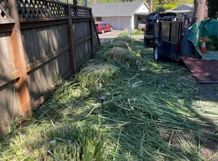 Bush Trimming by Edgar Flores Ceja for Rob D. in Tualatin, OR