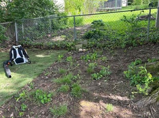 Leaf Removal by Tyler Deloach for Anita A. in Cincinnati, OH