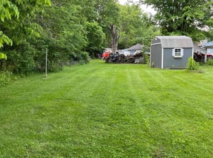 Benjamin H.'s Lawn Maintenance service result