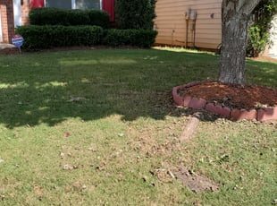 Bush Trimming by Thomas Knight for Ayobami C. in Lawrenceville, GA