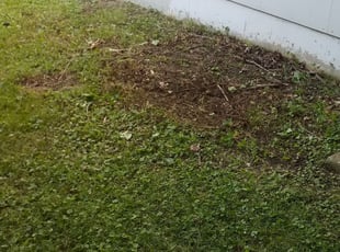 Cleanups by Andreas Margaris for Celine M. in Shawnee, KS