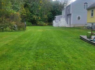 Dan S.'s Lawn Mowing Service service result