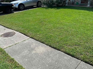 Alexander J.'s Lawn Maintenance service result