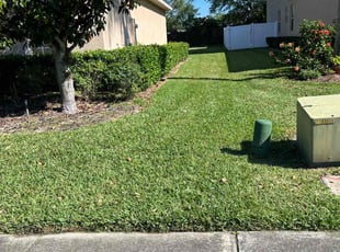 Marisa S.'s Lawn Mowing Service service result