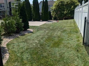 Raul H.'s Lawn Mowing service result