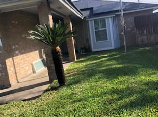Louie D.'s Lawn Mowing service result