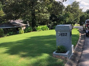 Ravi P S.'s Grass Cutting service result