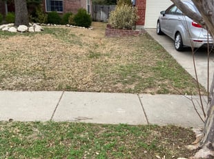 Leaf Removal by Nelson Rhoades for Salina G. in Fort Worth, TX