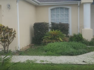 Bush Trimming by Richard Rhoden for TIFFANY M. in Kissimmee, FL