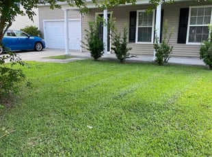 Teresa B.'s Grass Cutting service result