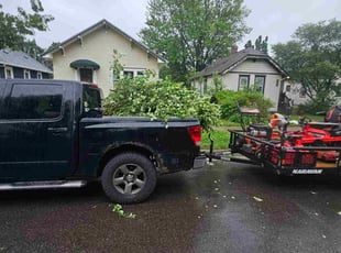 Aaron B.'s Bush Trimming service result