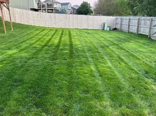 Josh P.'s Lawn Mowing service result