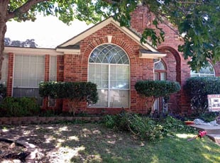 Bush Trimming by Daniel Sloan for Kayla K. in Allen, TX